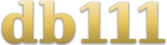 db 111 logo